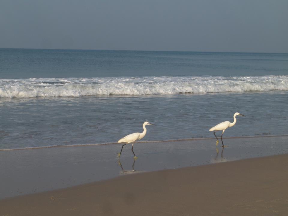Oceanic Beach Residency Варкала Екстериор снимка